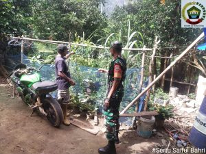 Warganya Berkebun di Pekarangan Rumah, Sertu Saiful Singgah Menyapa