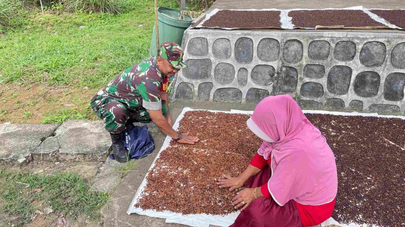 Jalankan Komsos, Serda Fadhlin Singgahi Warga Desa Candi Yang Sedang Menjemur Cengkeh