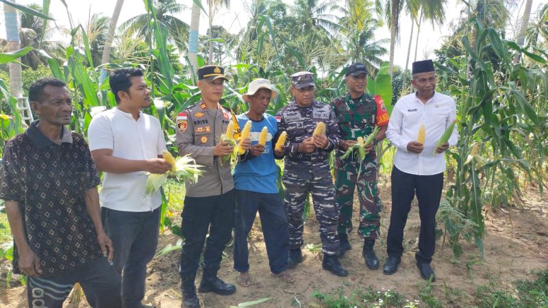 Letda Inf Riduan Turun ke Ladang: Penanaman Jagung Serentak Gema Ketahanan Pangan di Palmatak